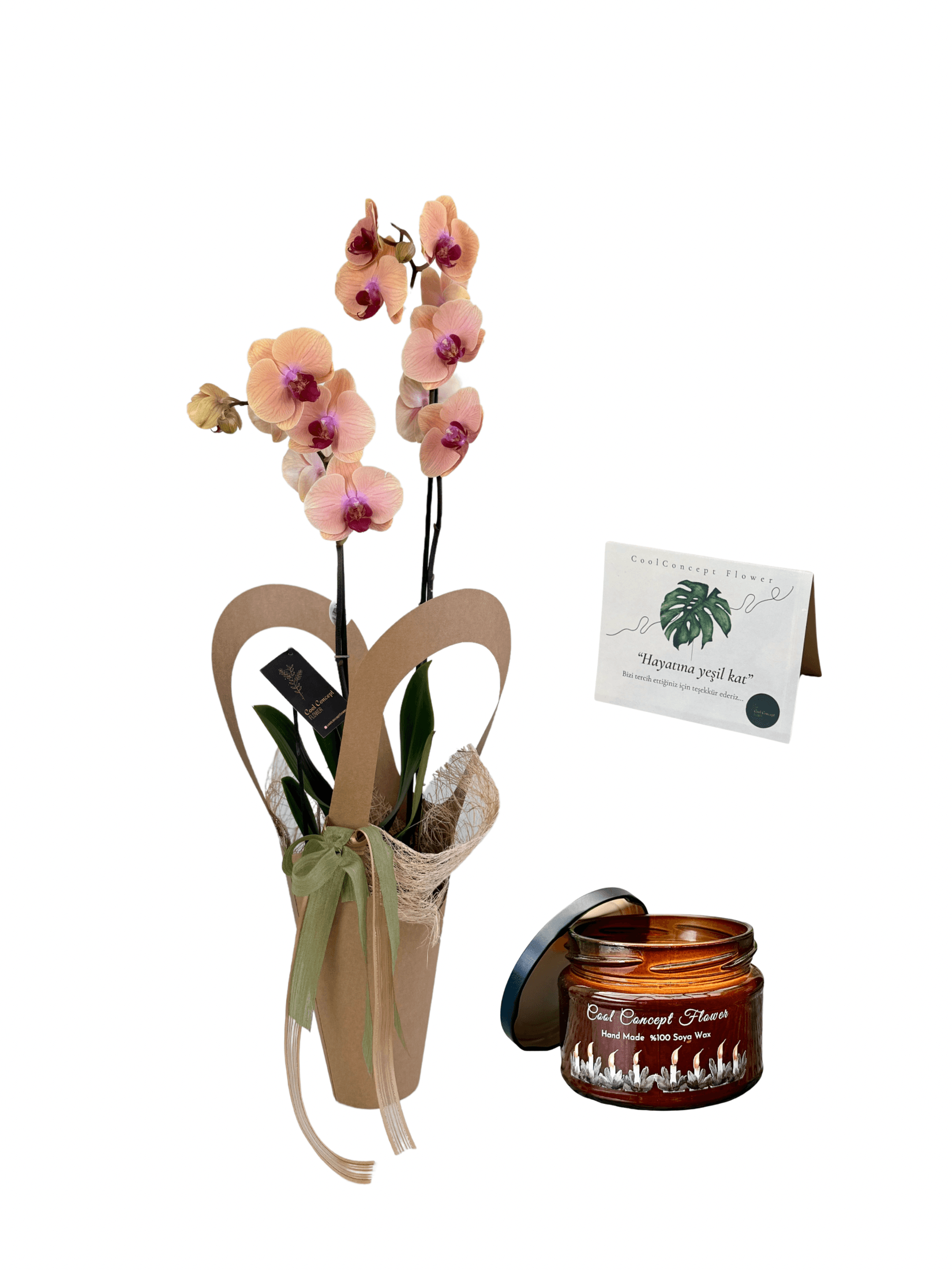 Orkide & Mum Hediyelik Concept Set (somon orkide-çiçek mum)