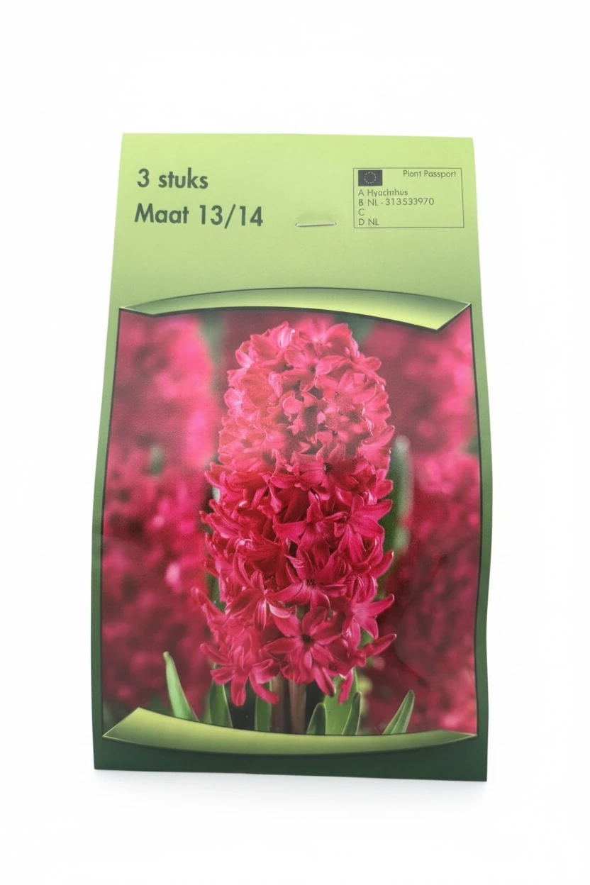 Mor Sümbül Soğanı – 3’lü Paket  İthal Çiçek Soğanı