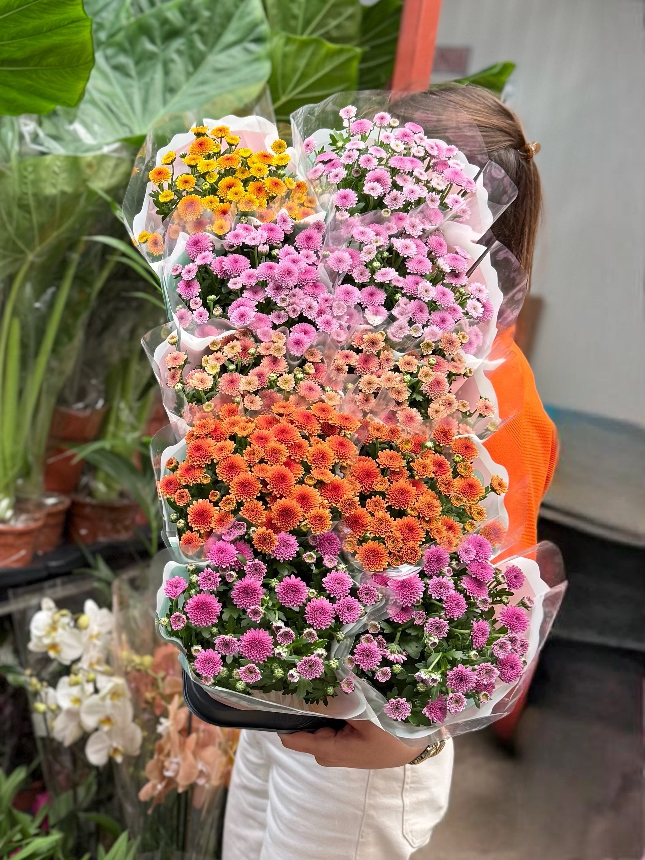 Chrysanthemum Mix Üçlü Set