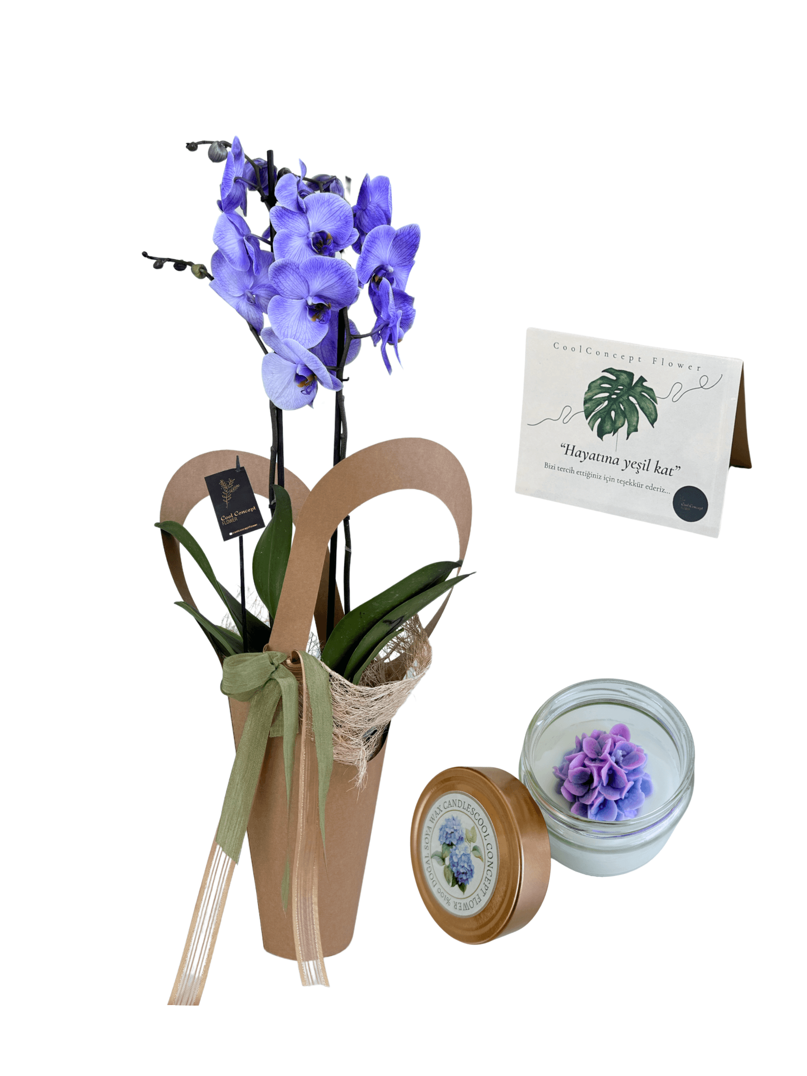 Orkide & Mum Hediyelik Concept Set (Lila orkide-çiçek mum)