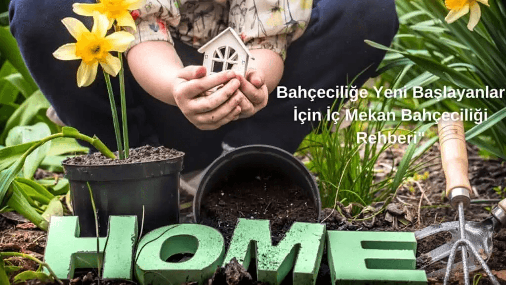 Bahçeciliğe Yeni Başlayanlar İçin İç Mekan Bahçeciliği Rehberi