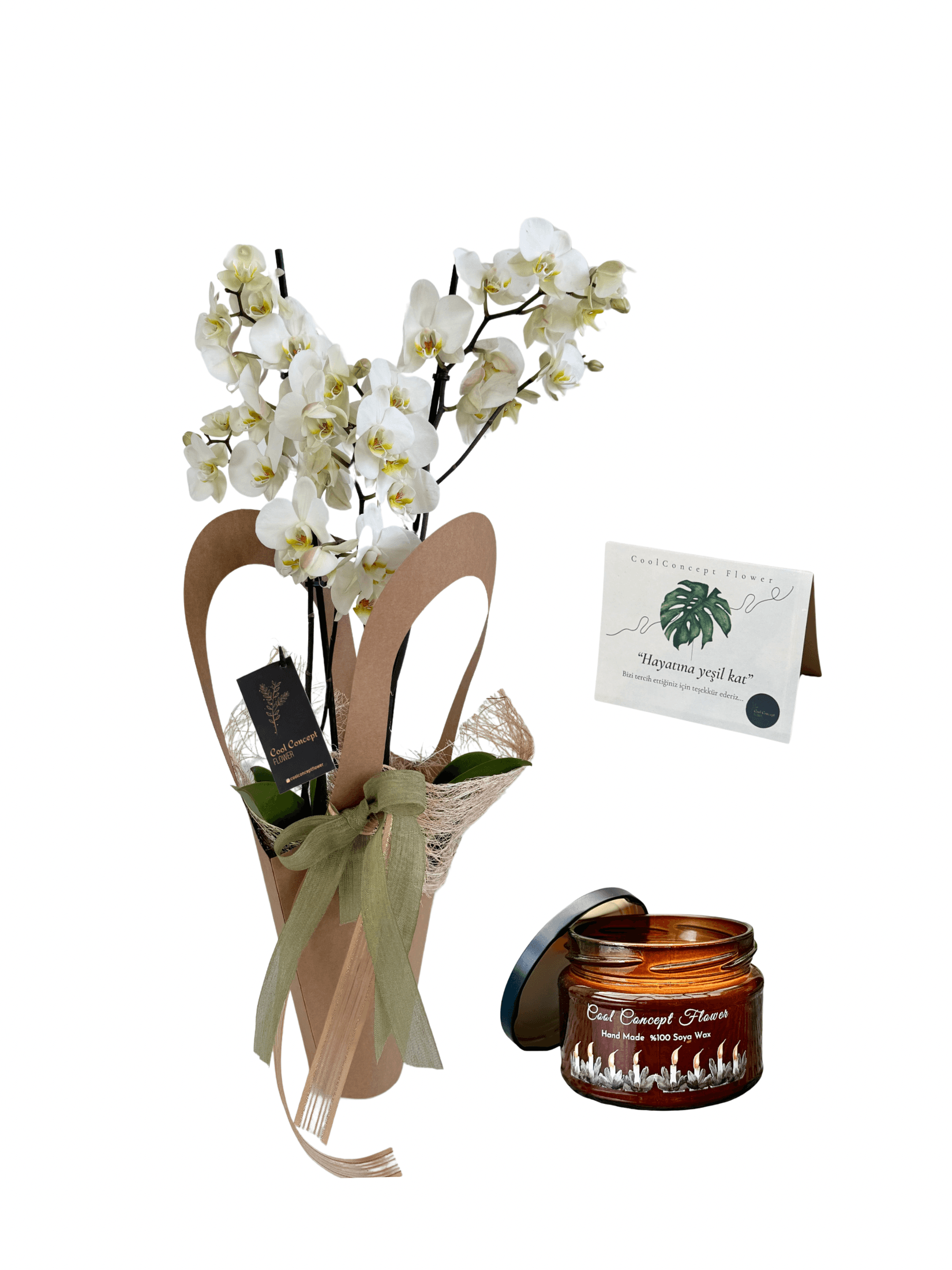 Orkide & Mum Hediyelik Concept Set (Beyaz orkide-çiçek mum)