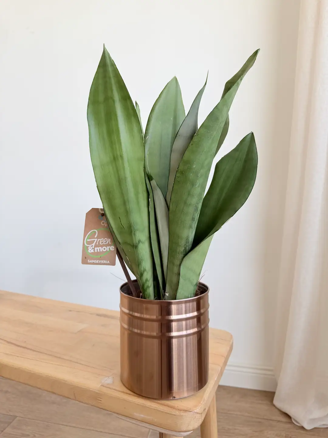 blumenerde für topfpflanzen HaGaFe Torfreduzierte Premium Blumenerde, Universalerde zum Topfen und –  HaGaFeShop main image 1