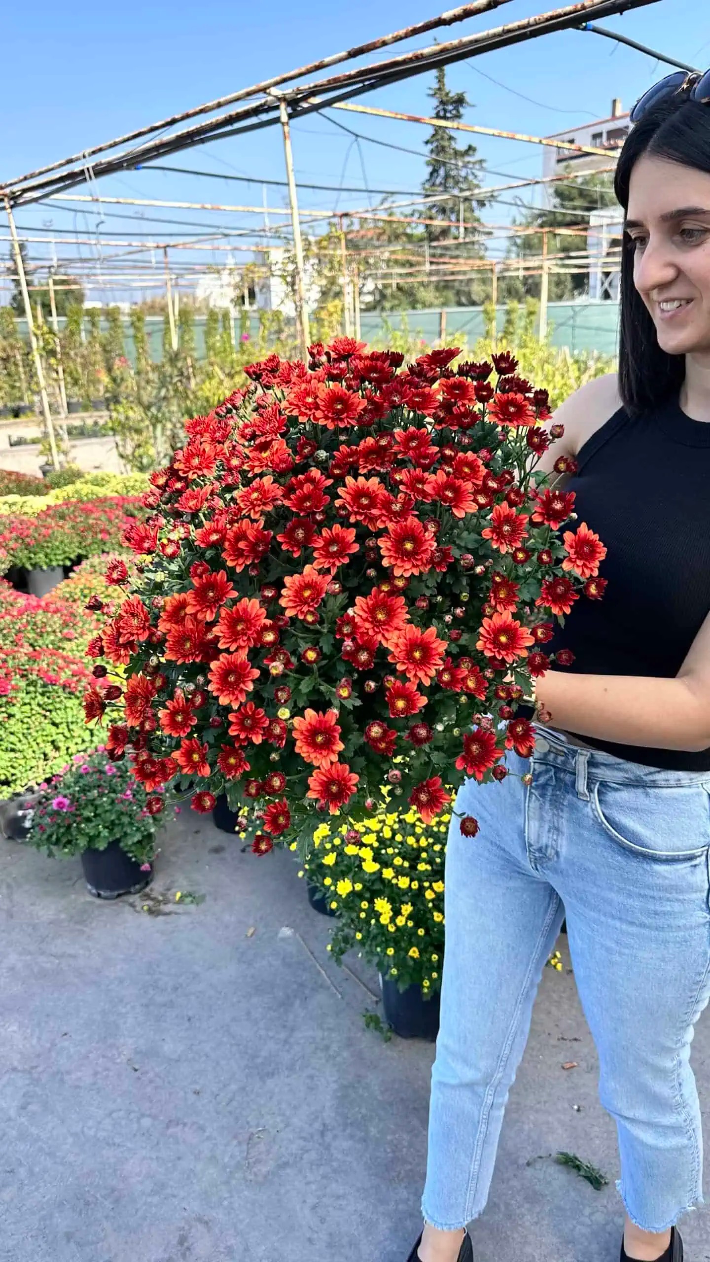 Kasım patı XXL