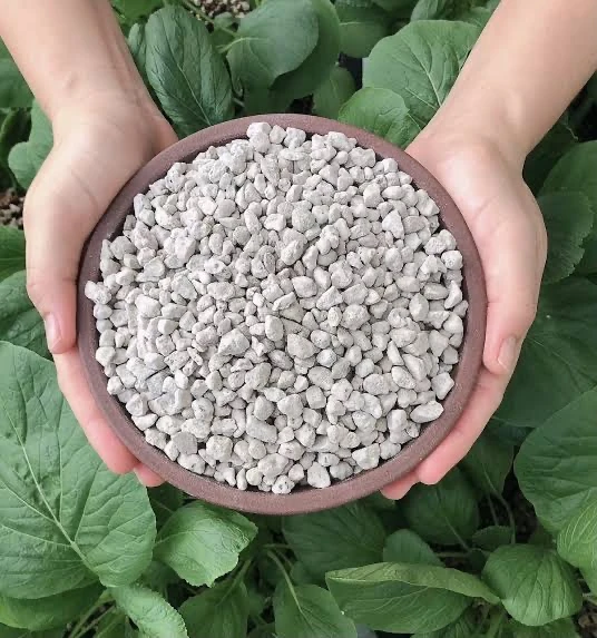 Ponza Taşı – (Pomza- Doğal Drenaj ve Toprak Katkısı )