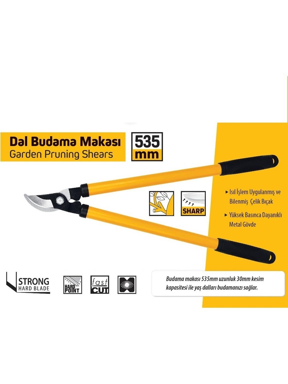 DAL BUDAMA MAKASI 21”