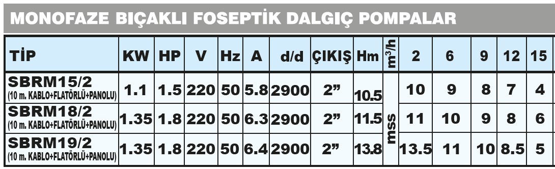 SBRM18/2 SUMAK DALGIÇ POMPA