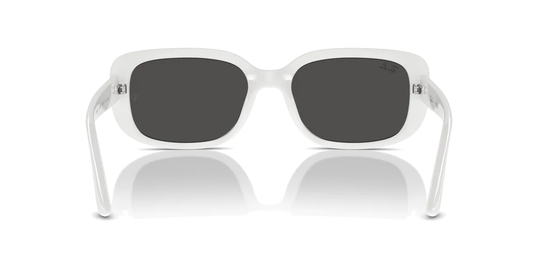RAYBAN 4421D