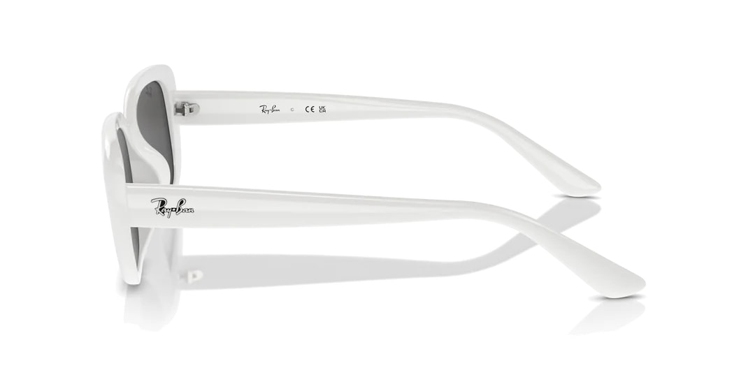 RAYBAN 4421D