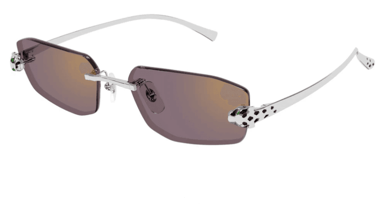Cartier CT0474S 004 Silver