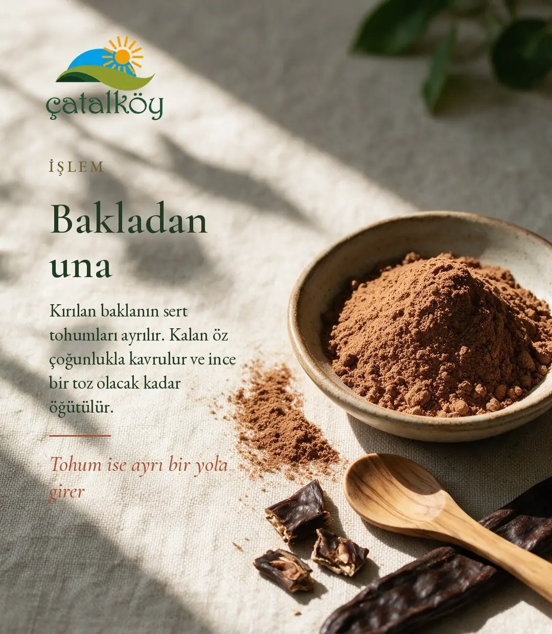 Seramik kâsede keçiboynuzu unu ve kırılmış bakla parçaları