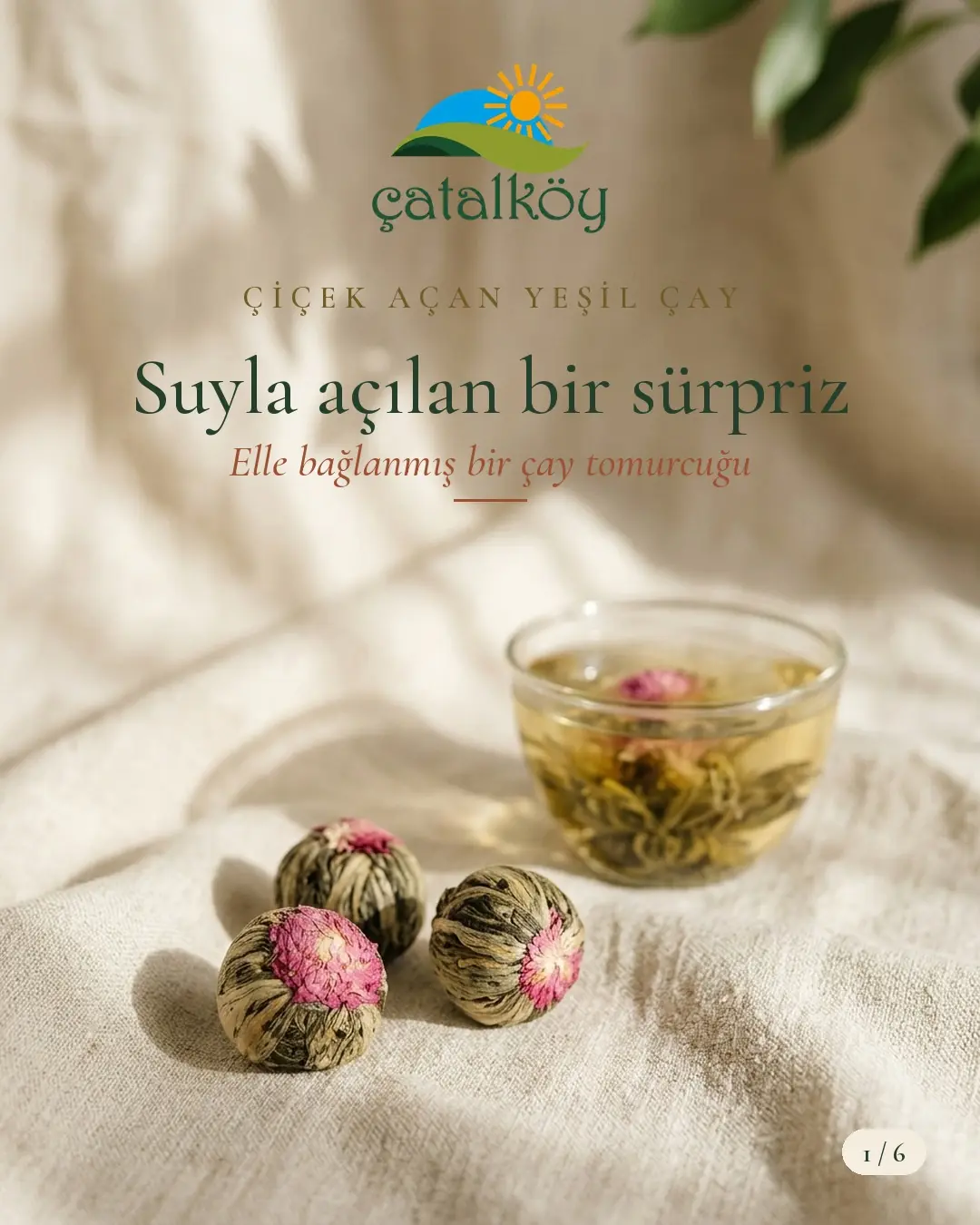 Çiçek açan yeşil çay: suyla açılan bir sürpriz