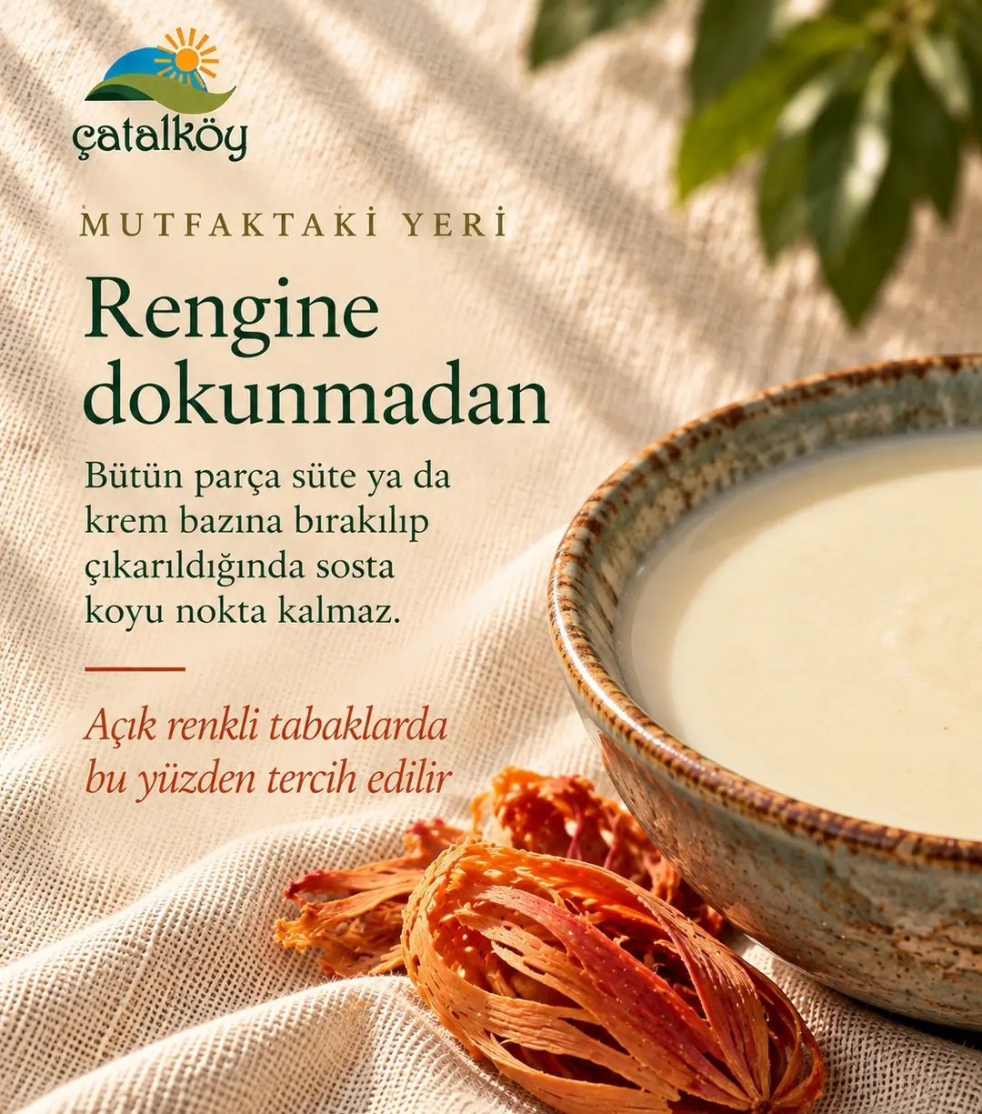 Krem bazlı sosta bütün besbase parçası