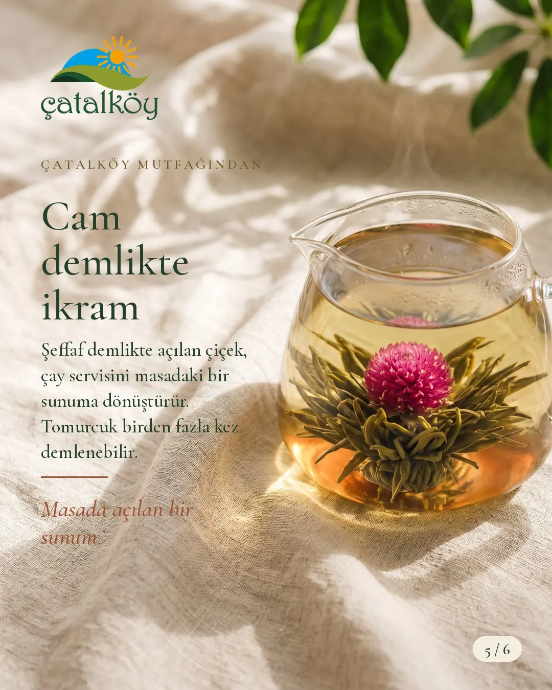 Cam demlikte açılmış çiçek açan çay ve amarant çiçeği
