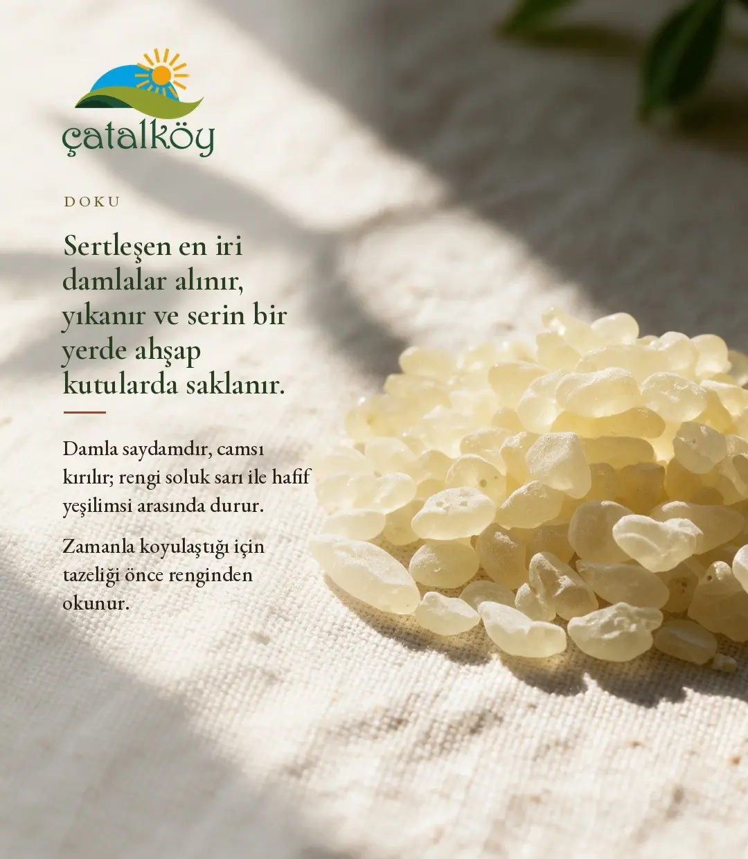 Soluk sarı, camsı damla sakızı damlaları