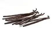 Çubuk Vanilya (Madagascar Gourmet)