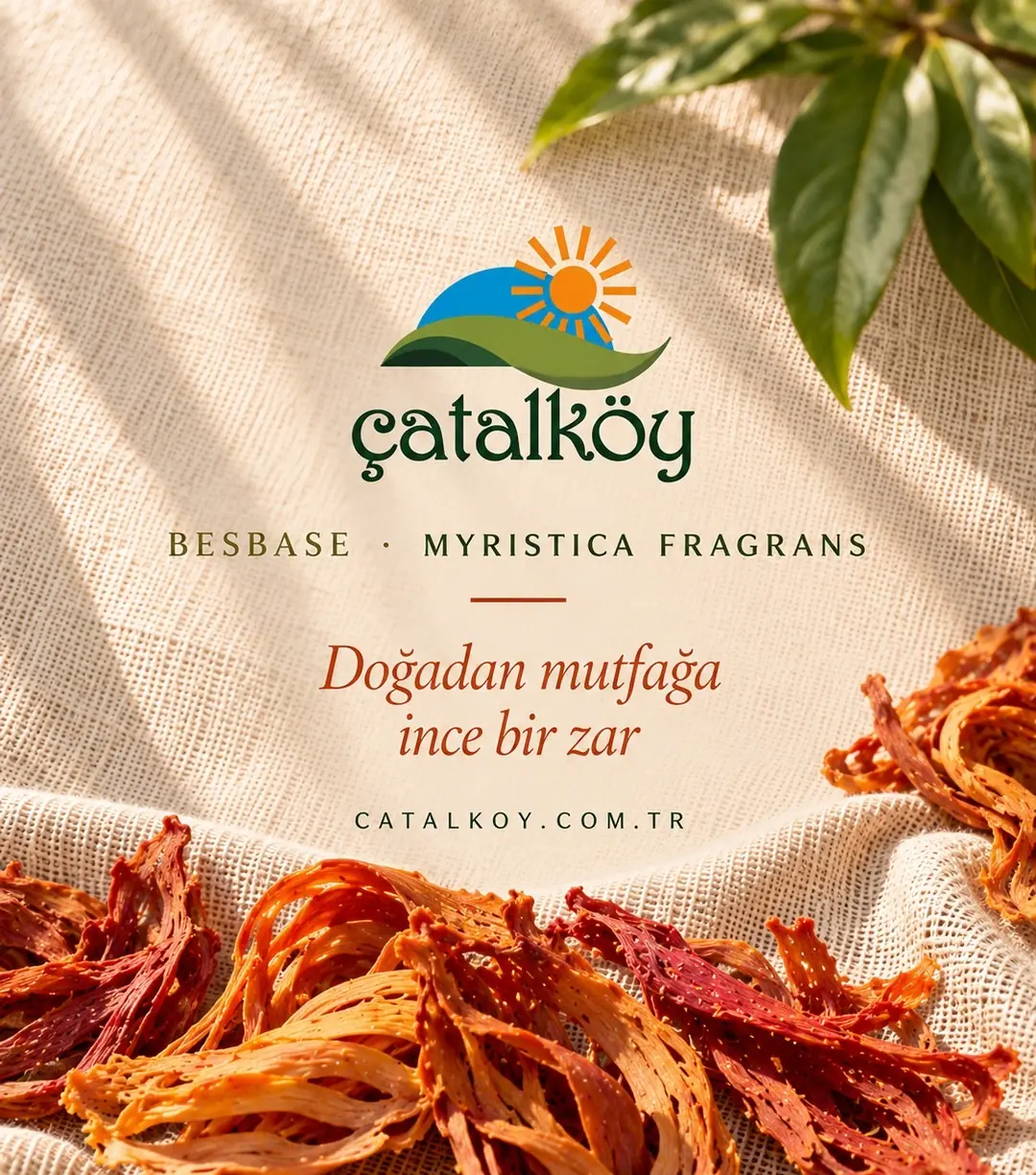 Besbase, Çatalköy