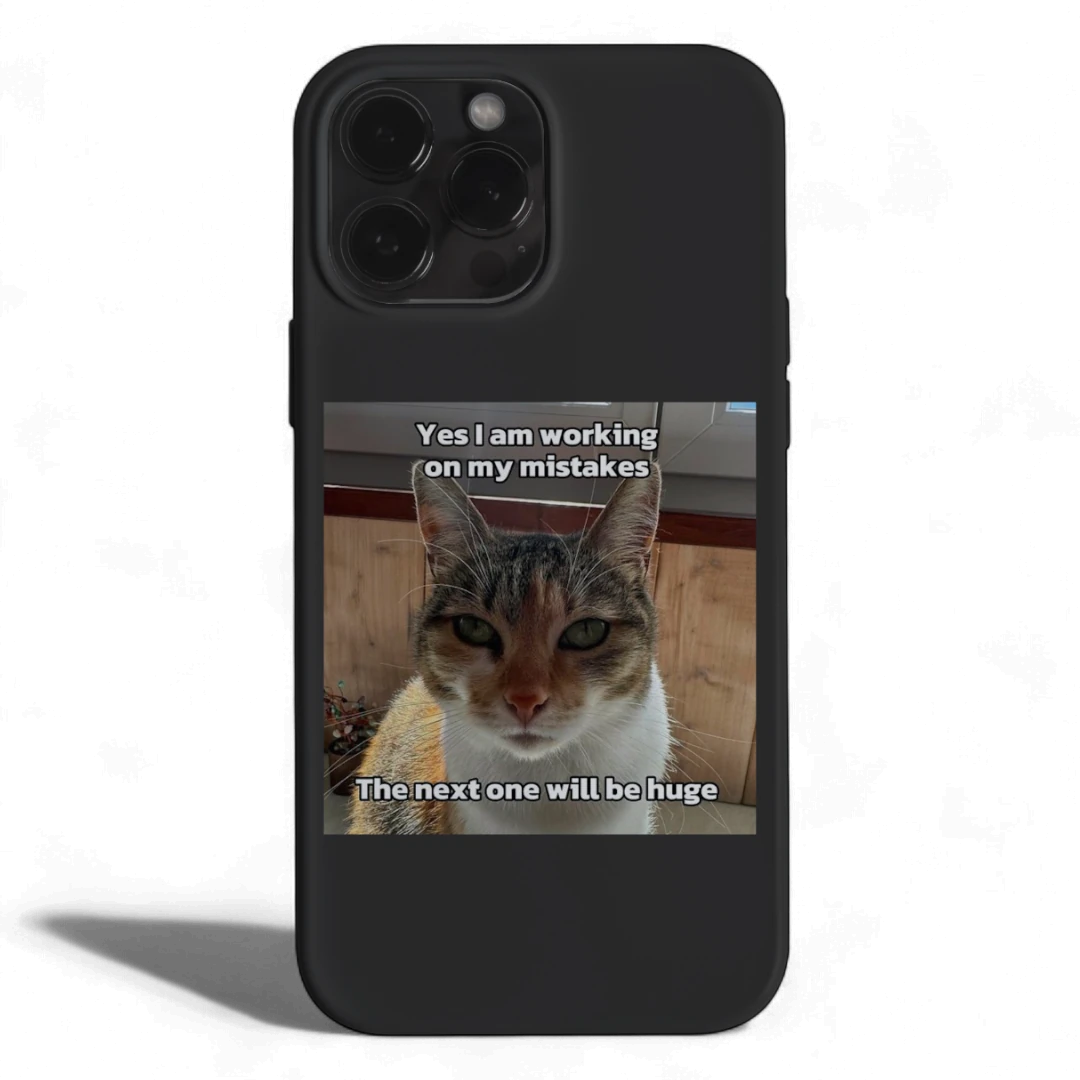 MEME | Working On Mistakes