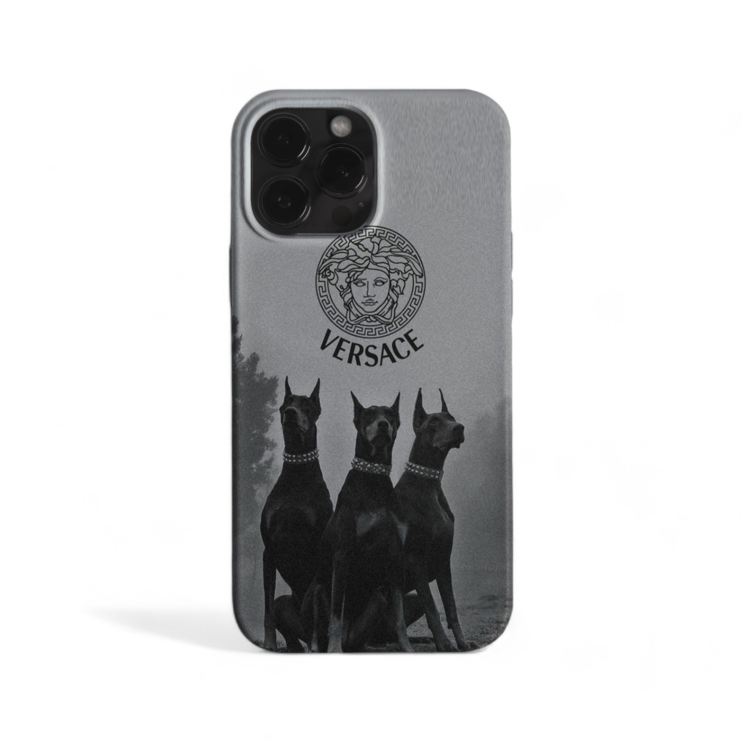 Versace Case