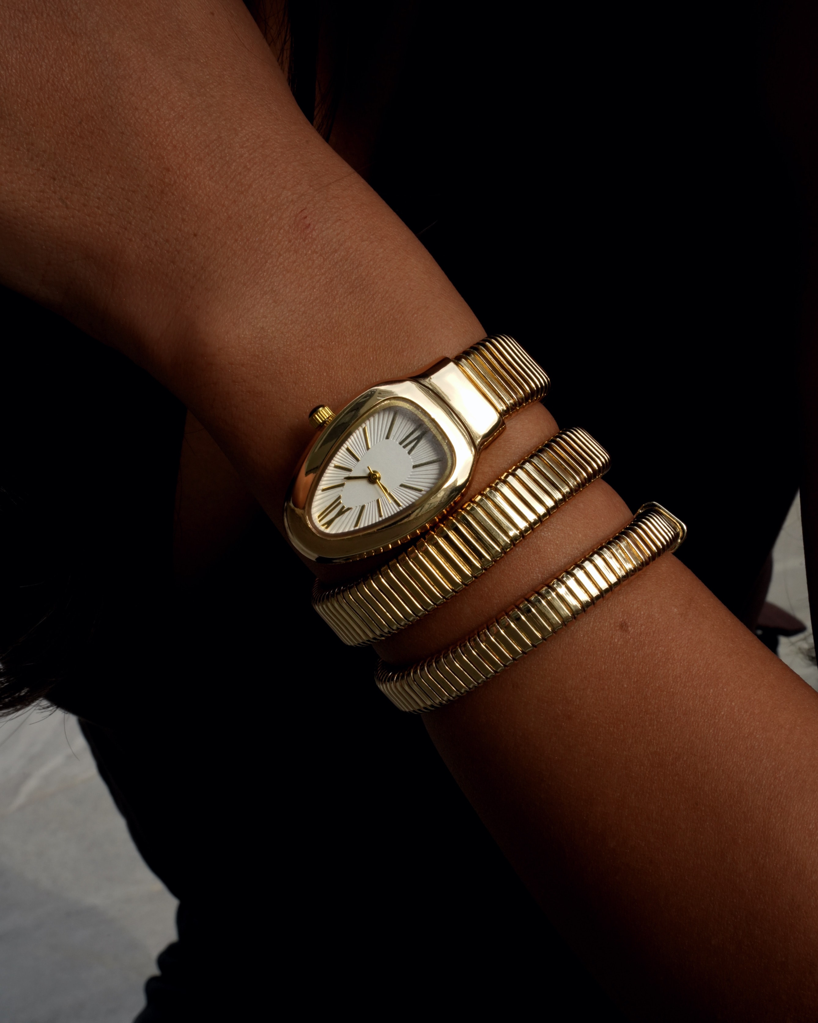 Snake Watch / Saat
