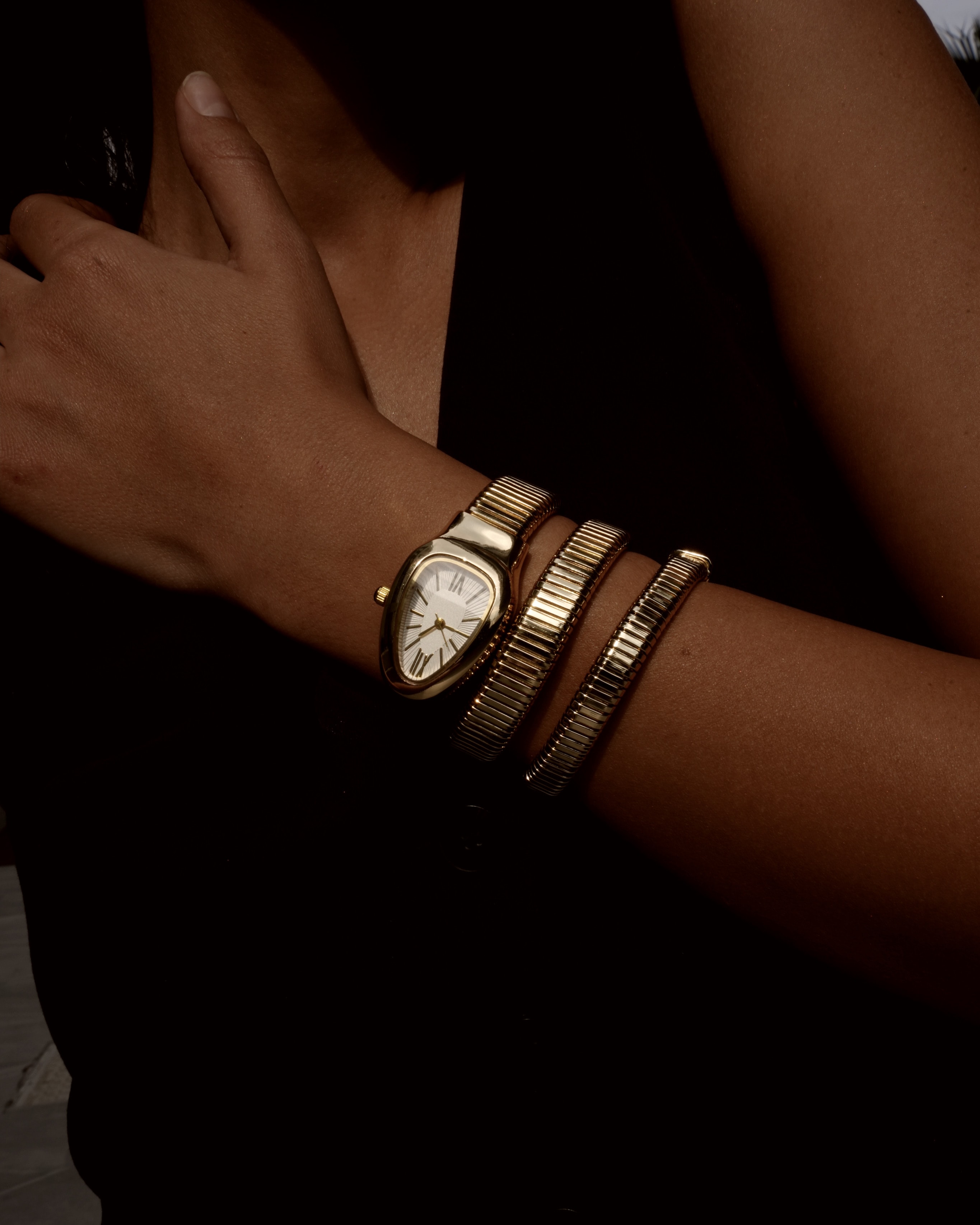 Snake Watch / Saat