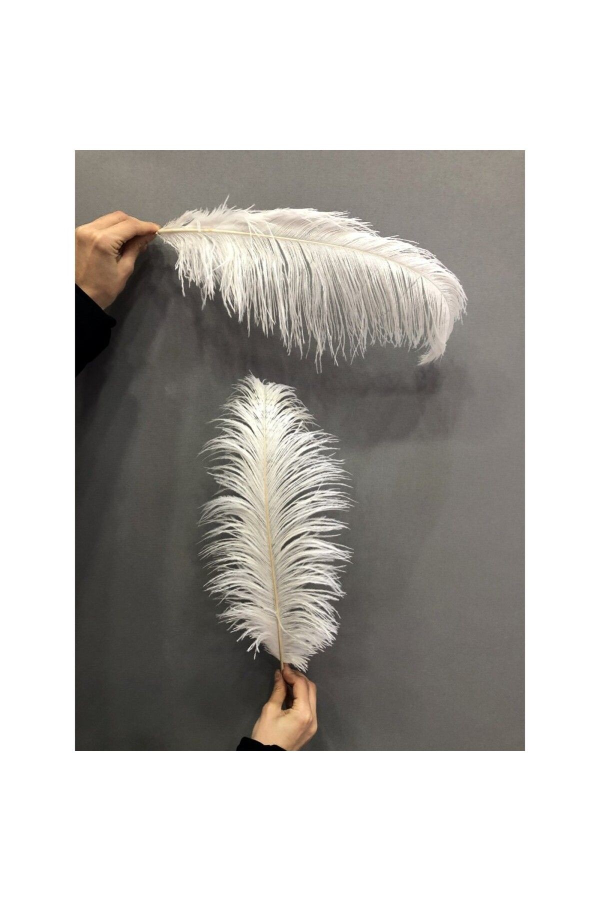 Dekoratif Deve Kuşu Tüyü ( 30 cm - 35 cm) Beyaz