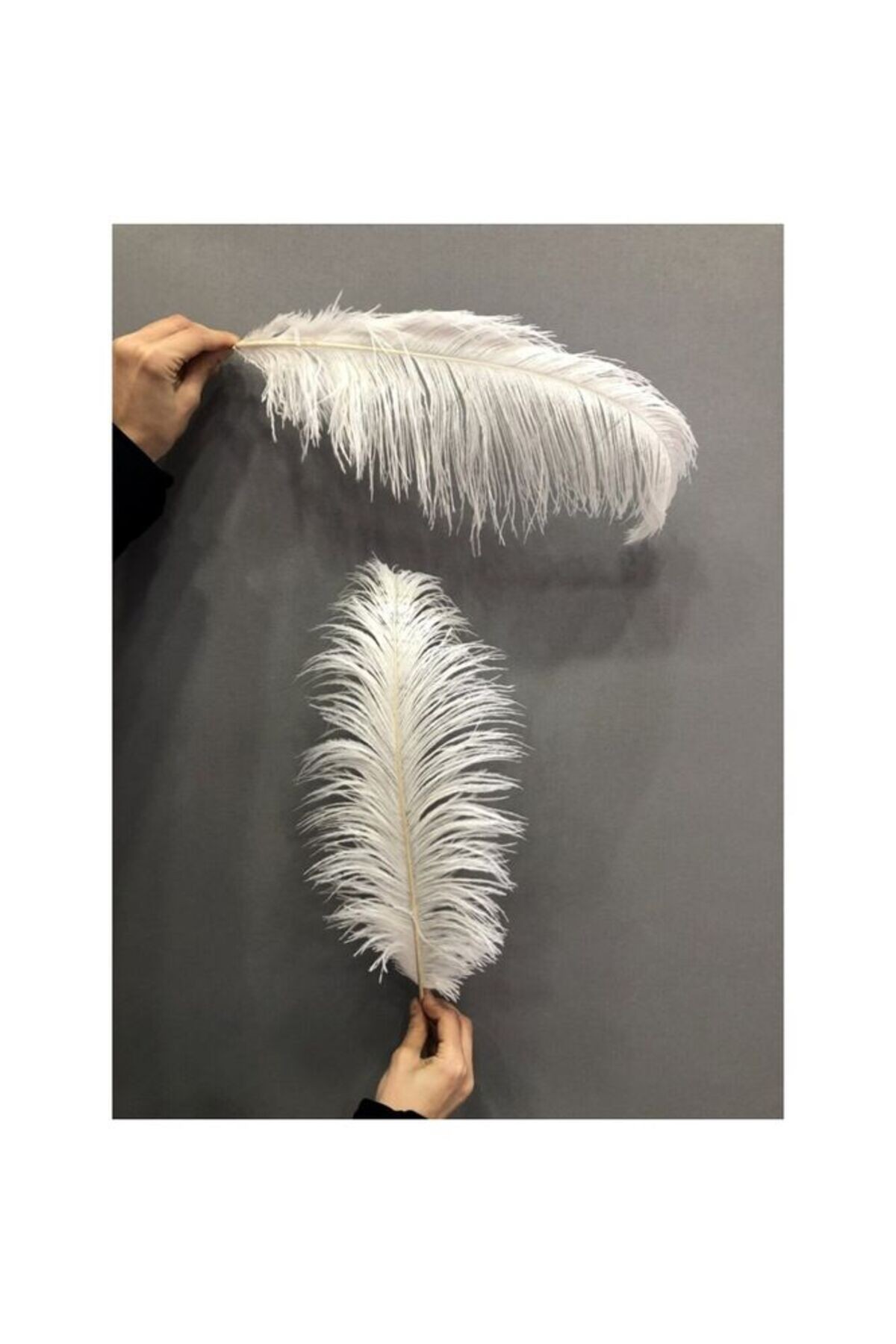 Dekoratif Deve Kuşu Tüyü (20cm) Beyaz DVK0002