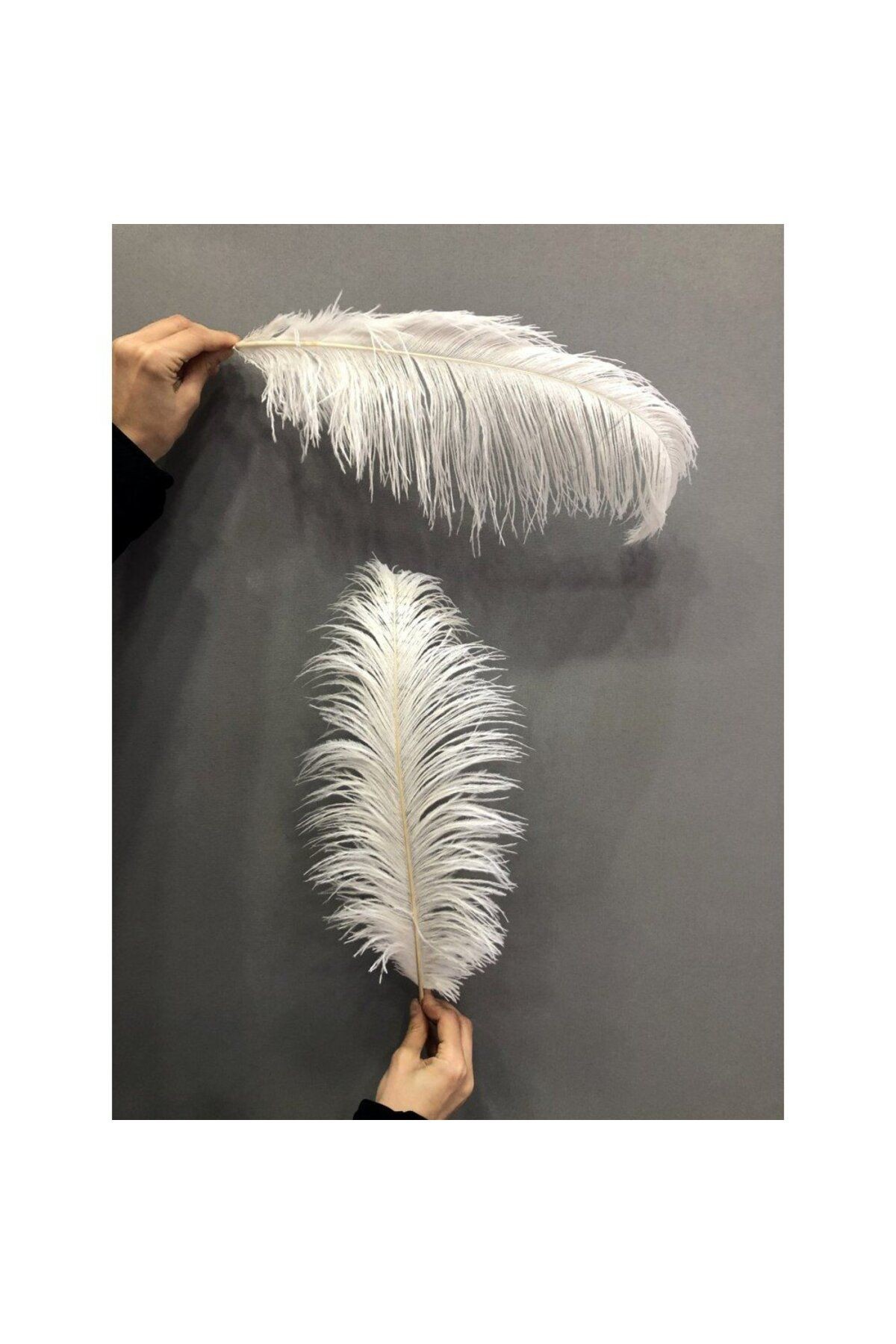Dekoratif Deve Kuşu Tüyü 3 Adet ( 30 cm - 35 cm) Beyaz DVK0003