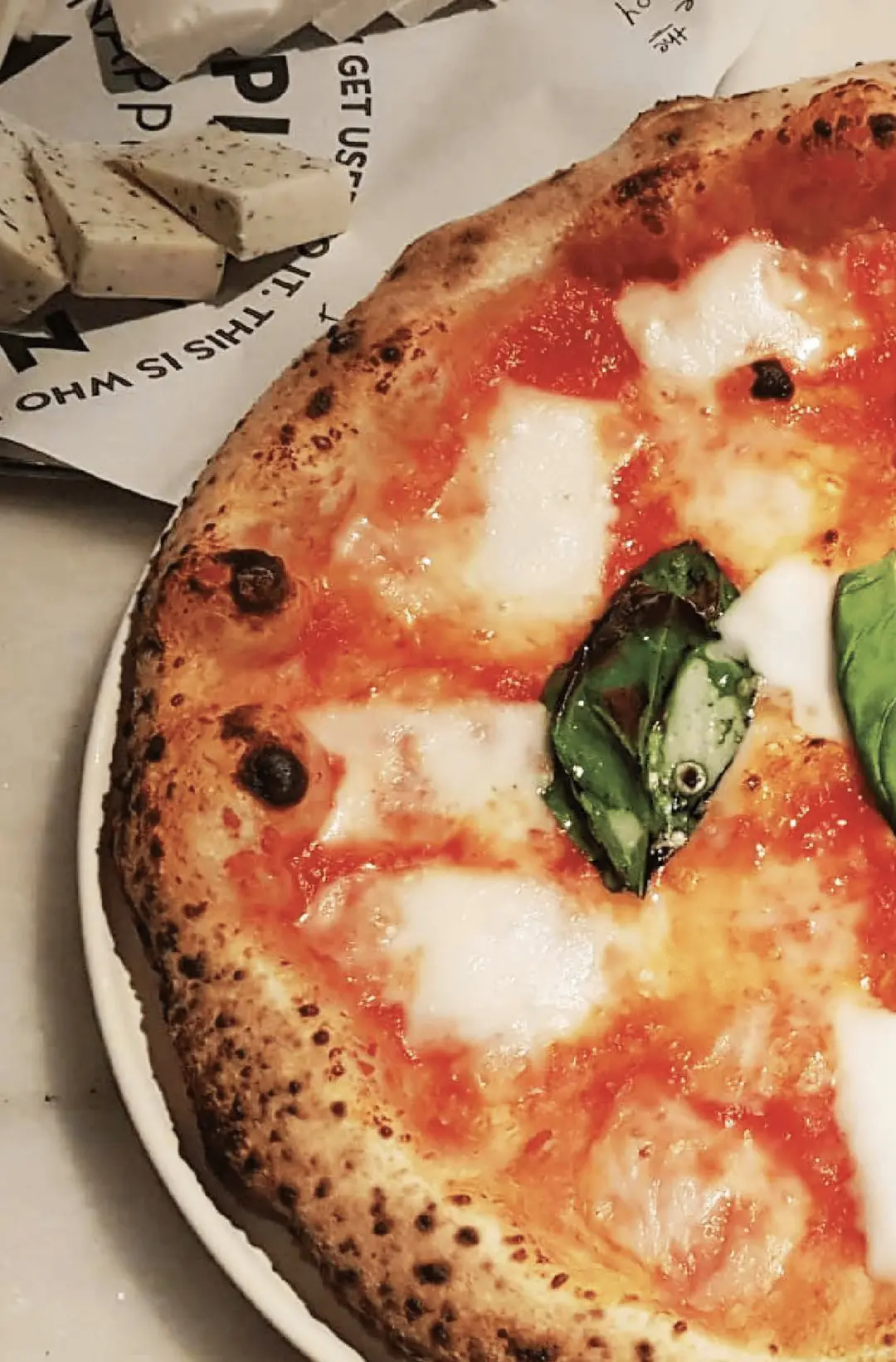 Furora Melty- Vegan Mozzarella Peynir