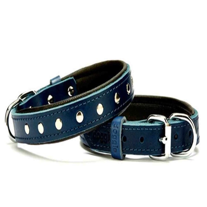 Doggie Comfort Rivet Desenli Deri Köpek Boyun Tasması SBT-2011 M Mavi