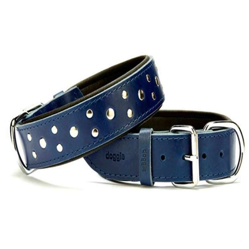 Doggie Comfort Rivetli Deri Boyun Tasması Mavi SBT-4011 4,0x65 cm