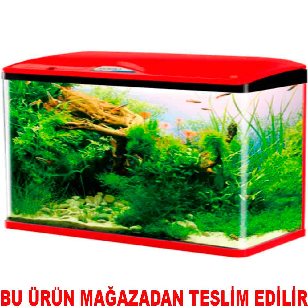 Sobo Sistemli Akvaryum Kırmızı 60 x 23 x 55 cm