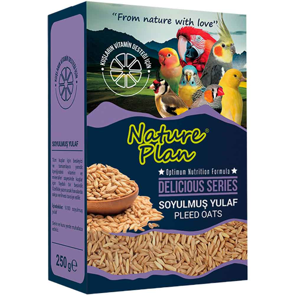 Nature Plan Delicious Serisi Soyulmuş Yulaf 250 Gr