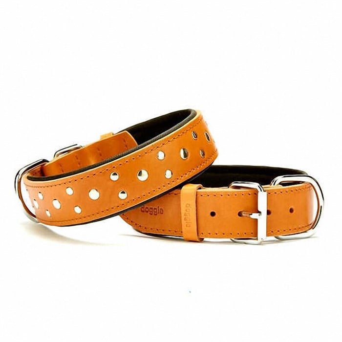 Doggie Yumuşak Dokulu Rivetli Köpek Boyun Tasması Camel SBT-4011 L
