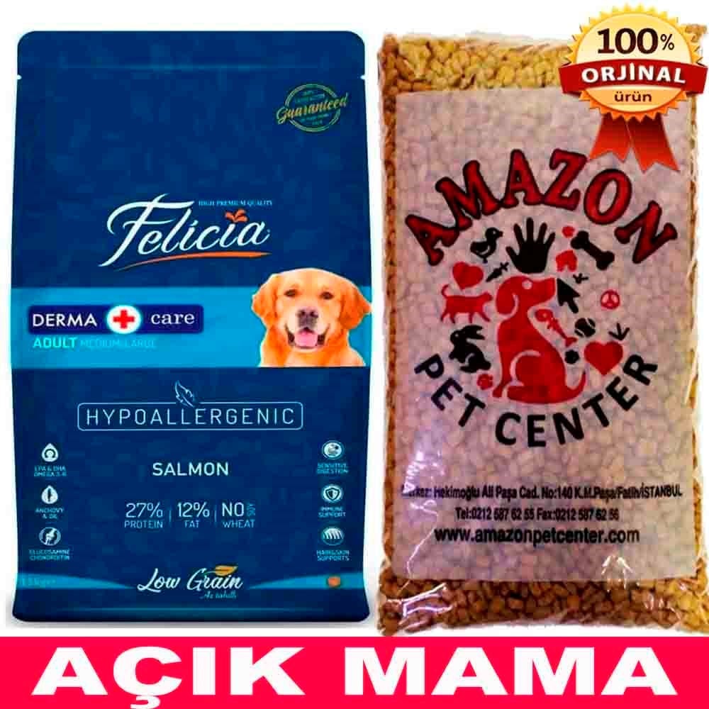 Felicia Az Tahıllı Somonlu Yetişkin Köpek Maması Açık 1 Kg