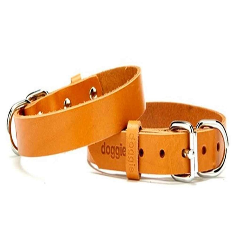Doggie Deri Boyun Tasması Camel SBT-2010 S