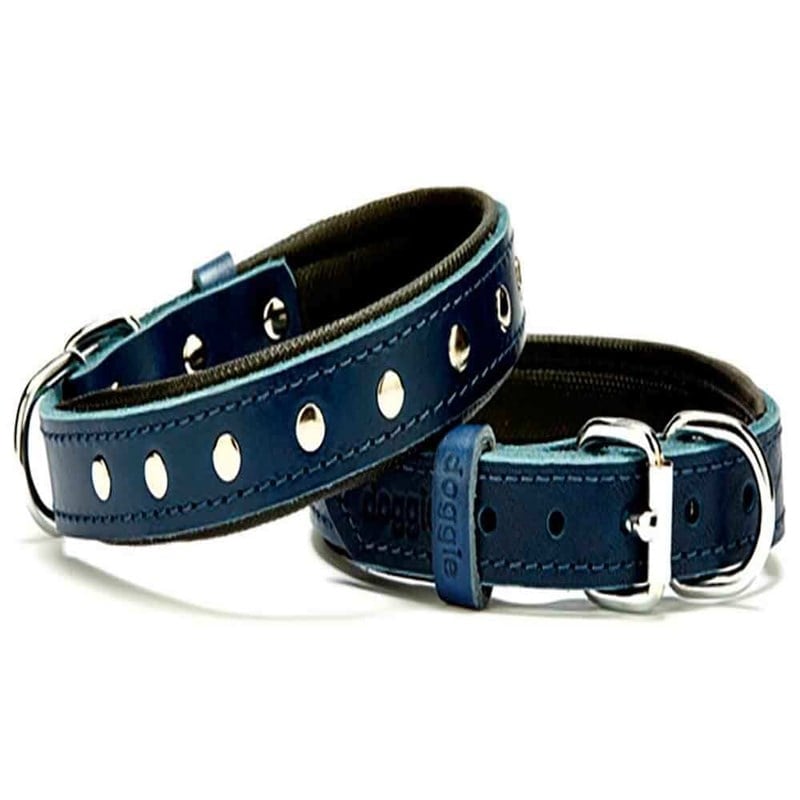 Doggie Comfort Deri Köpek Boyun Tasması SBT-2010 S Mavi