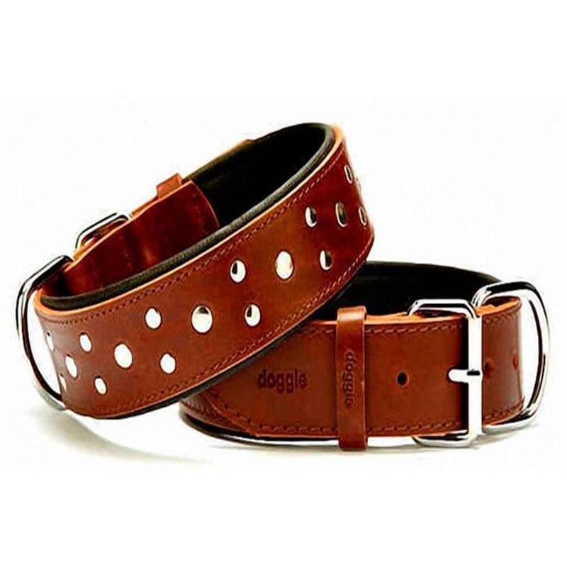 Doggie Yumuşak Dokulu Rivetli Köpek Boyun Tasması Kahverengi SBT-3511 L