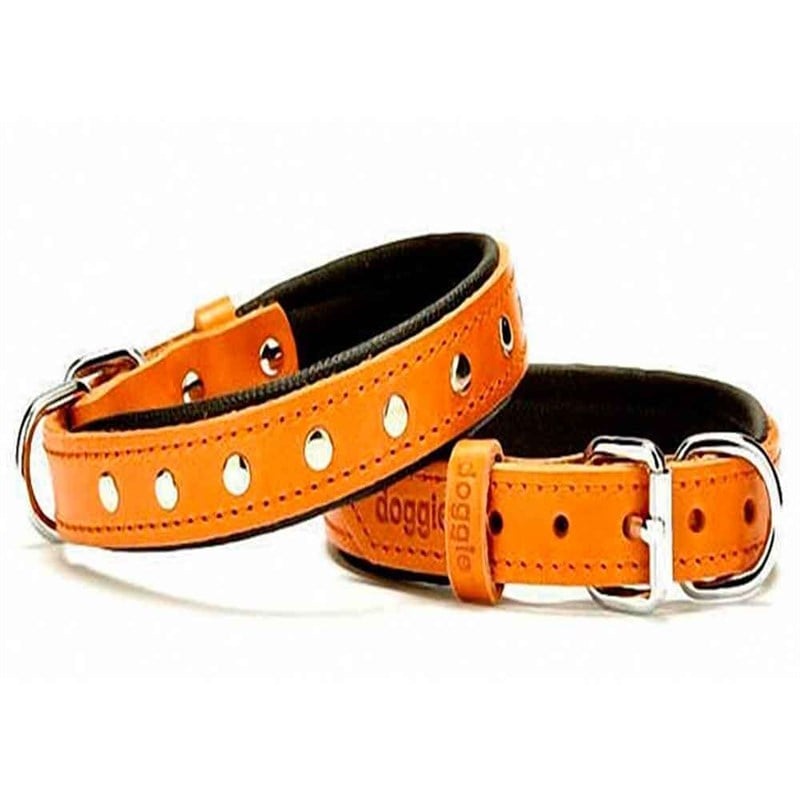 Doggie Yumuşak Dokulu Rivetli Köpek Boyun Tasması Camel SBT-2011 S