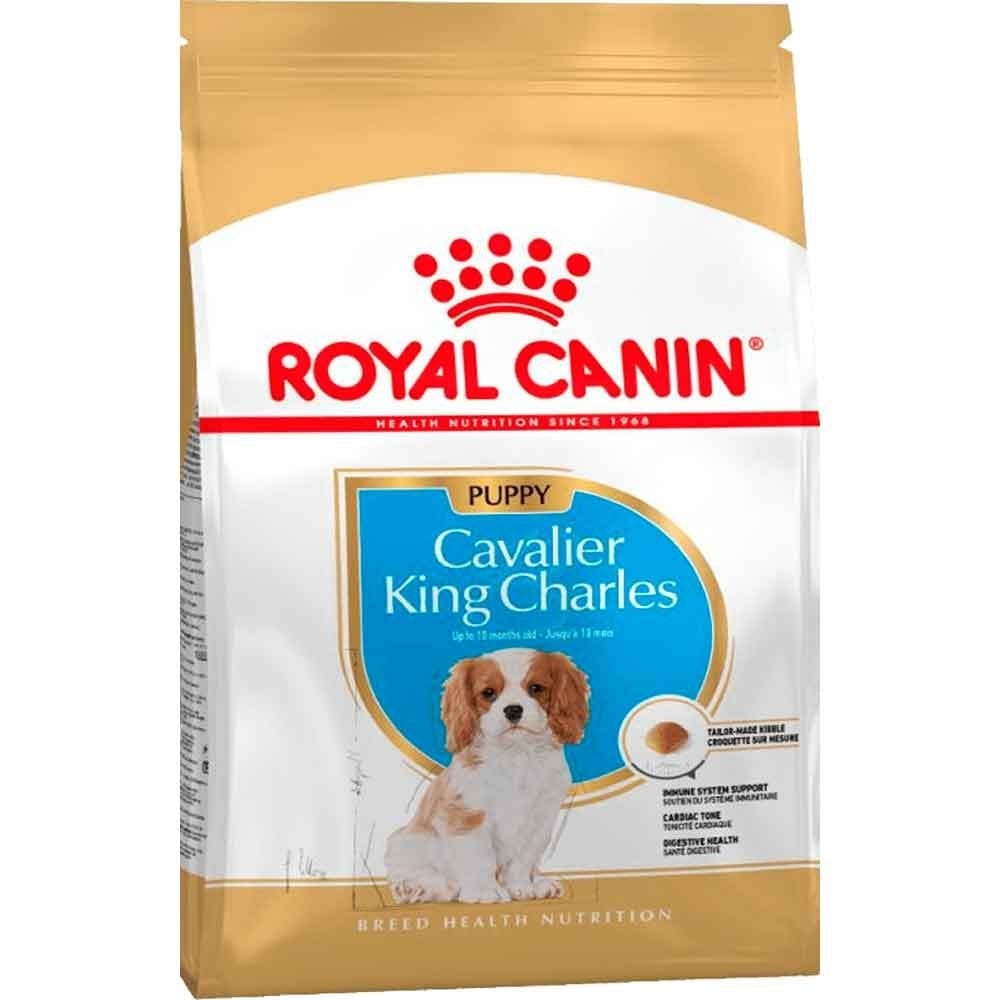 Royal Canin Junior King Charles Yavru Köpek Maması 1,5 Kg