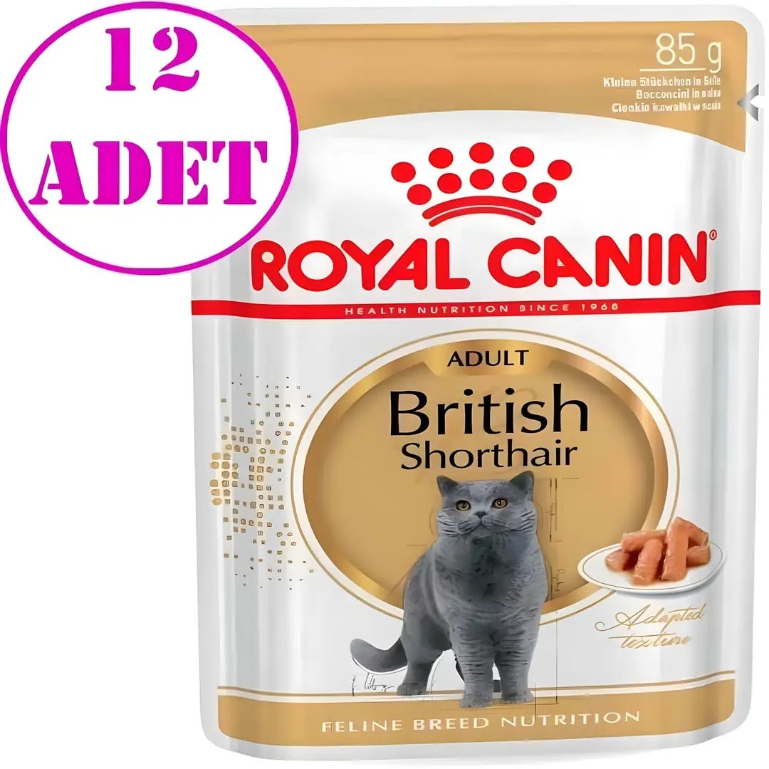 Royal Canin British Shorthair Yetişkin Kedi Konservesi 85 Gr 12 Ad