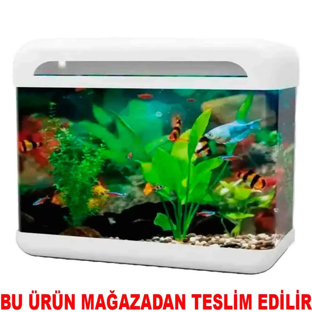 RS 280R Ledli Set Akvaryum Beyaz 28x16x31 Cm