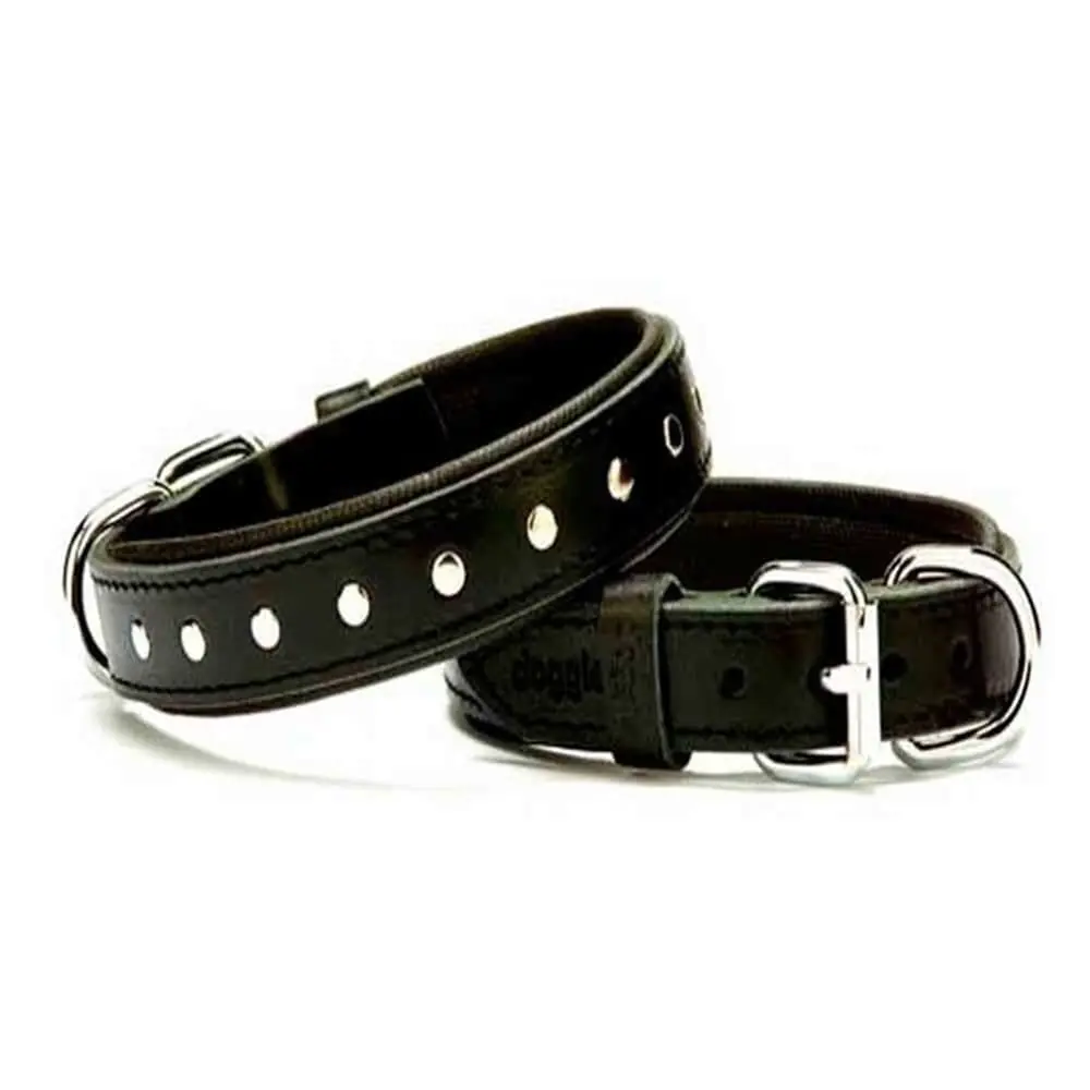 Doggie Yumuşak Dokulu Rivetli Köpek Boyun Tasması Siyah SBT-3511 L