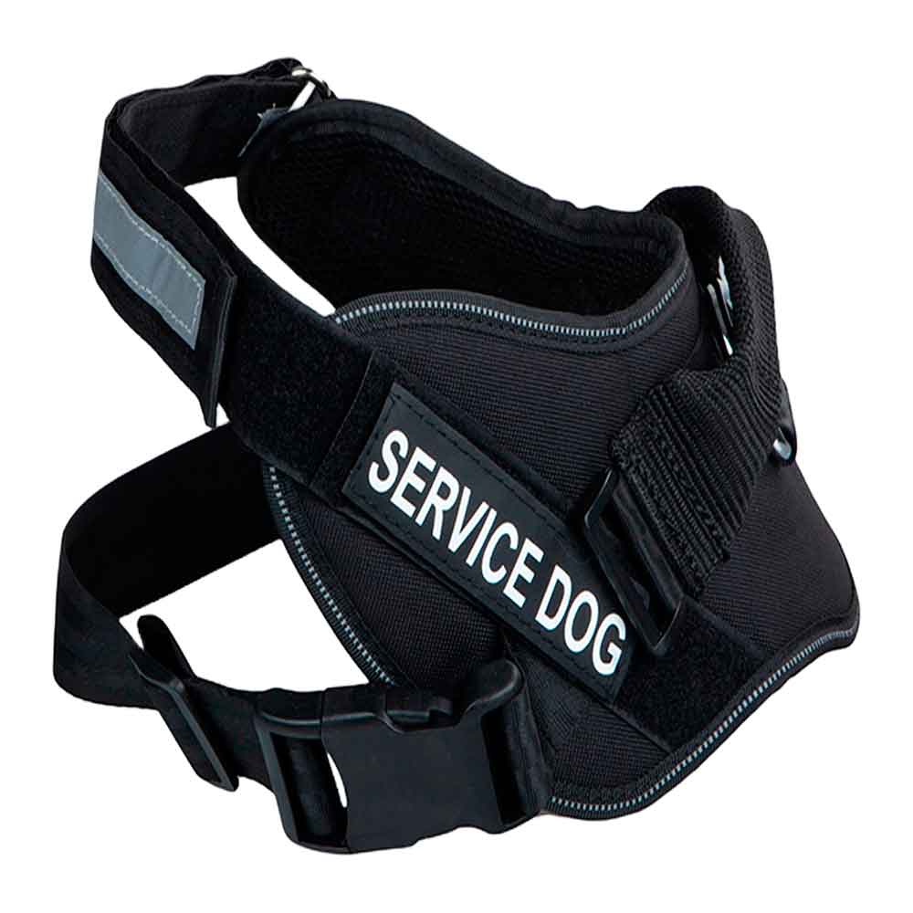 Orijin Pet Köpekler İçin Beden Tasması S 70-95 Cm