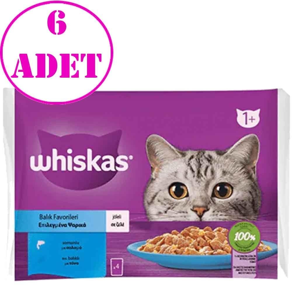 Whiskas Pouch Jöle İçinde Somonlu ve Ton Balıklı Yetişkin Kedi Konservesi 85gr (4'lü)6 AD