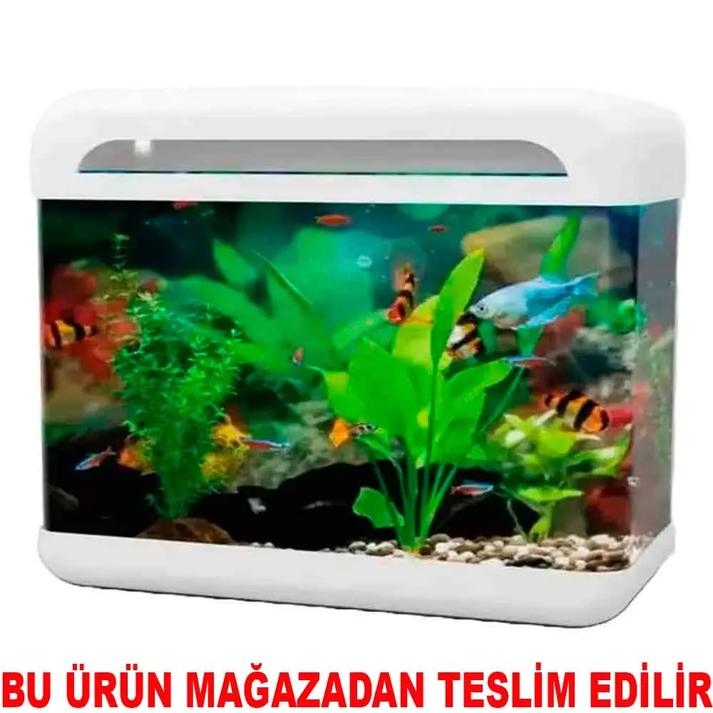 RS 380R Ledli Set Akvaryum Beyaz 38x18x37 Cm