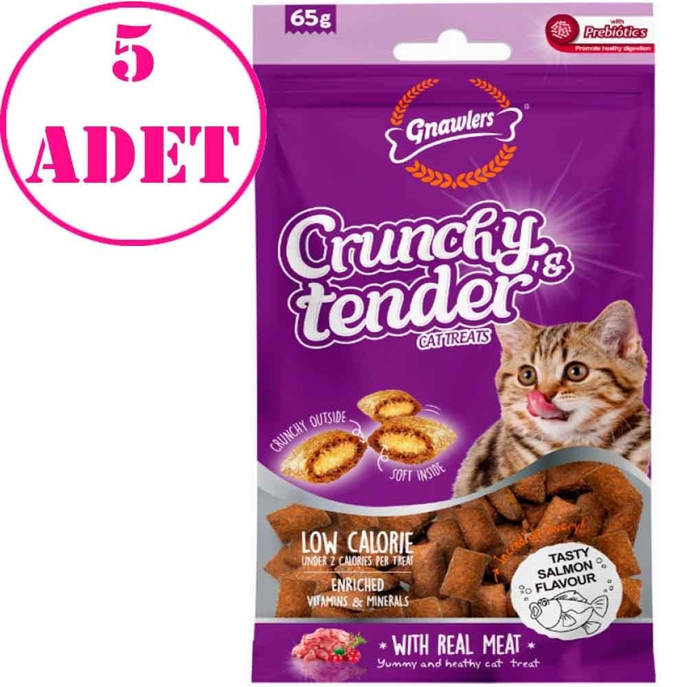 Gnawlers Kedi Ödülü Crunchy & Tender Somonlu 65 Gr 5 AD