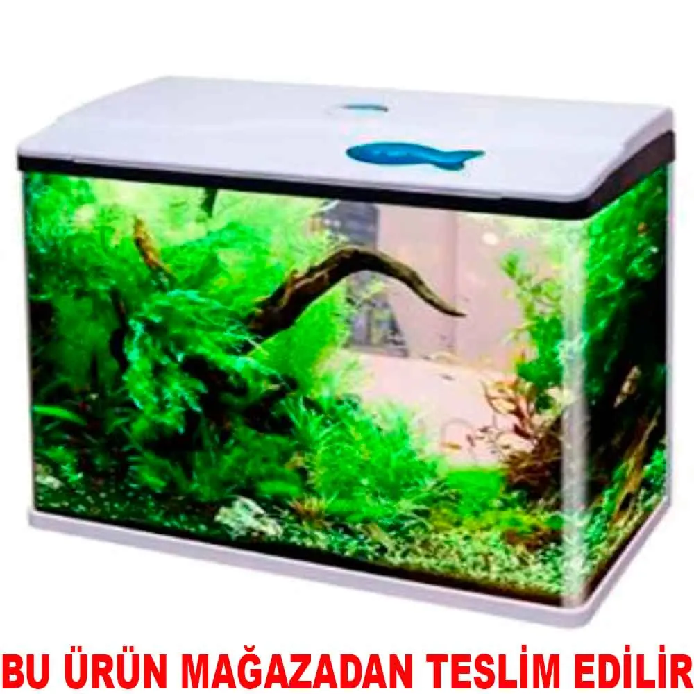 Sobo Sistemli Komple Akvaryum 48.5 Cm Beyaz