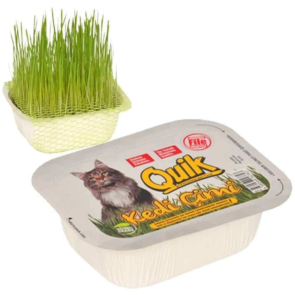 Quik Kedi Çimi