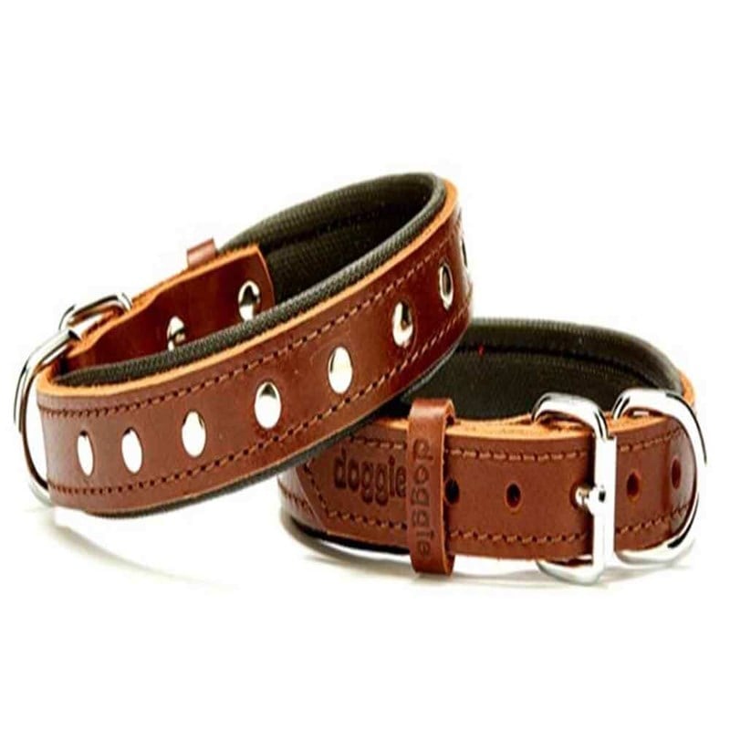 Doggie Comfort Rivet Desenli Deri Köpek Boyun Tasması SBT-2011 M Kahverengi